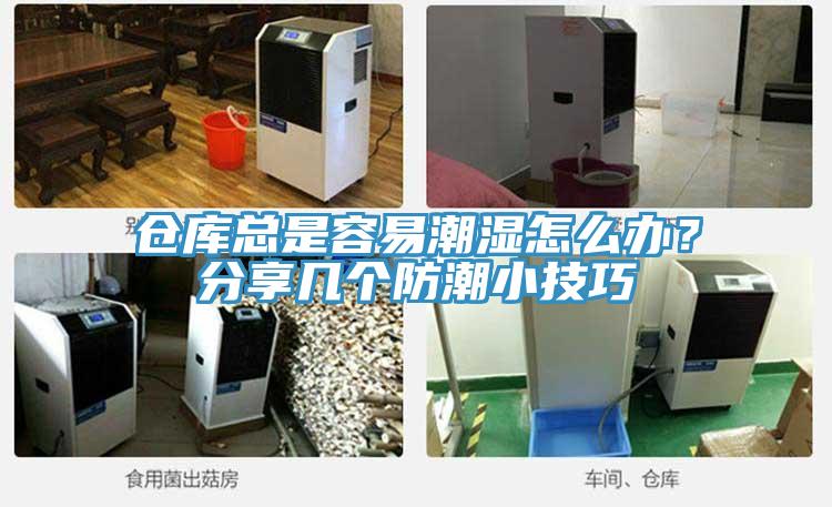 倉庫總是容易潮濕怎么辦？分享幾個防潮小技巧