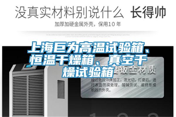 上海巨為高溫試驗(yàn)箱、恒溫干燥箱、真空干燥試驗(yàn)箱