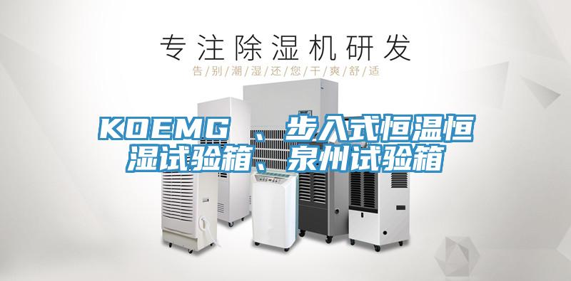 KOEMG 、步入式恒溫恒濕試驗箱、泉州試驗箱