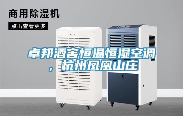 卓邦酒窖恒溫恒濕空調，杭州鳳凰山莊