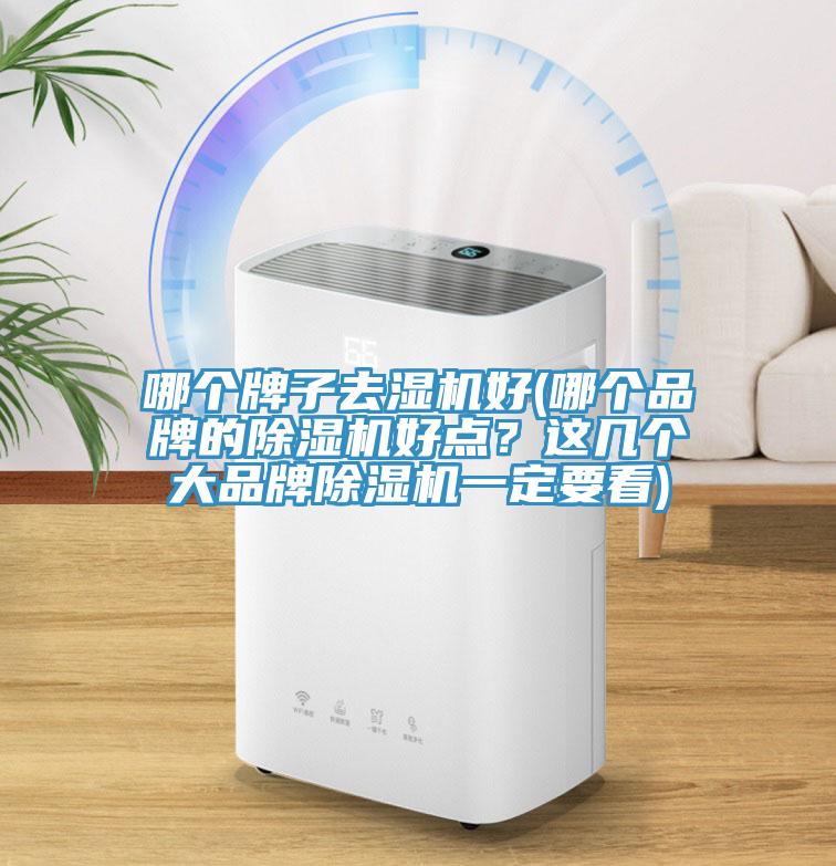哪个牌子去湿机好(哪个品牌的除湿机好点？这几个大品牌除湿机一定要看)