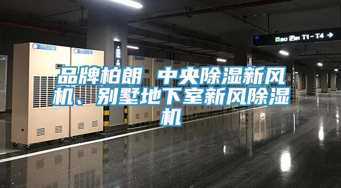 品牌柏朗 中央除濕新風(fēng)機(jī)、別墅地下室新風(fēng)除濕機(jī)