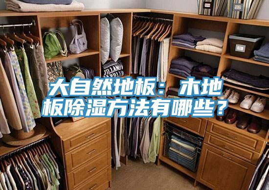 大自然地板：木地板除湿方法有哪些？