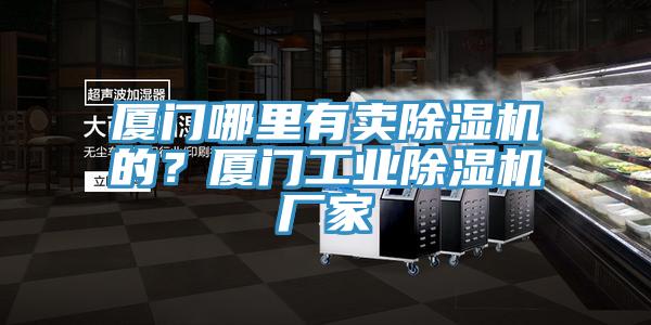 廈門哪里有賣除濕機(jī)的？廈門工業(yè)除濕機(jī)廠家