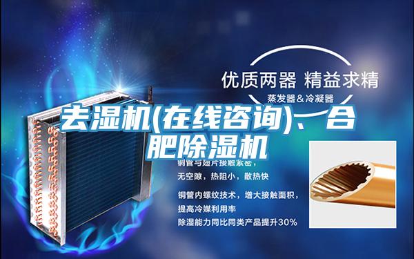 去濕機(在線咨詢)、合肥除濕機