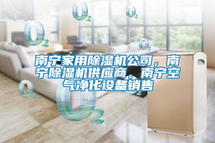 南寧家用除濕機(jī)公司，南寧除濕機(jī)供應(yīng)商，南寧空氣凈化設(shè)備銷售
