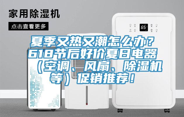 夏季又熱又潮怎么辦？618節(jié)后好價(jià)夏日電器（空調(diào)、風(fēng)扇、除濕機(jī)等）促銷(xiāo)推薦！