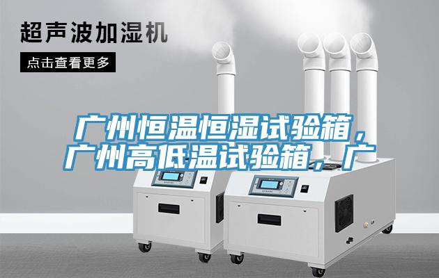 广州恒温恒湿试验箱，广州高低温试验箱，广