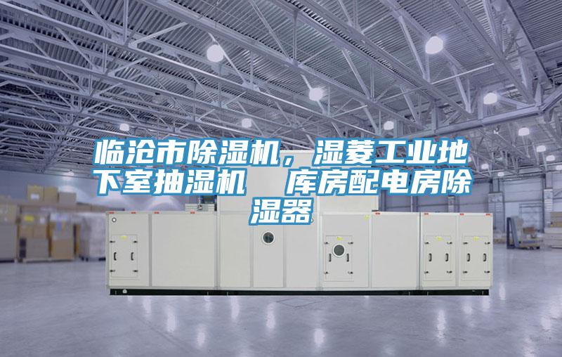 臨滄市除濕機，濕菱工業(yè)地下室抽濕機  庫房配電房除濕器