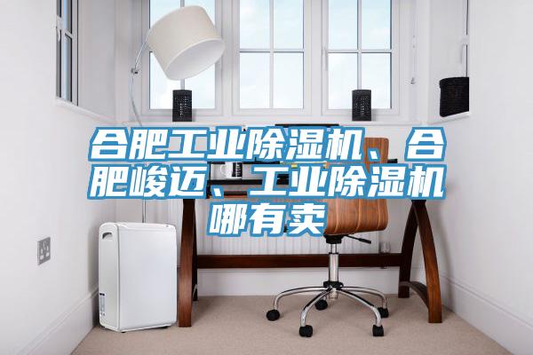 合肥工業(yè)除濕機(jī)、合肥峻邁、工業(yè)除濕機(jī)哪有賣