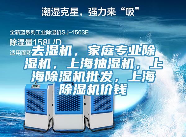 去濕機，家庭專業(yè)除濕機，上海抽濕機，上海除濕機批發(fā)，上海除濕機價錢