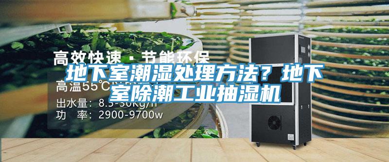 地下室潮湿处理方法？地下室除潮工业抽湿机