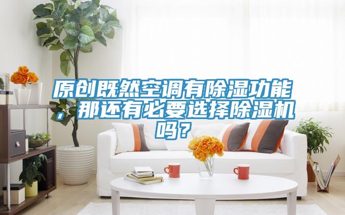 原創(chuàng)既然空調有除濕功能，那還有必要選擇除濕機嗎？