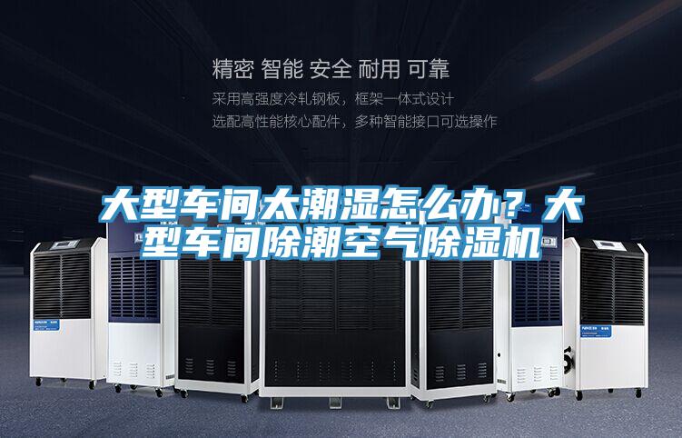 大型车间太潮湿怎么办？大型车间除潮空气除湿机