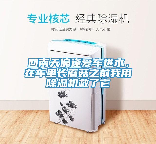回南天偏逢愛車進(jìn)水，在車?yán)镩L蘑菇之前我用除濕機(jī)救了它