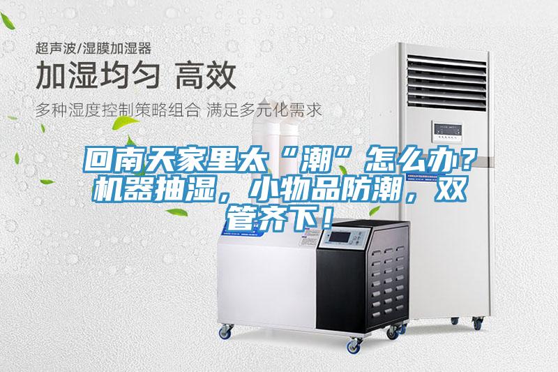 回南天家里太“潮”怎么办？机器抽湿，小物品防潮，双管齐下！