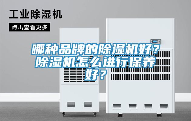 哪种品牌的除湿机好？除湿机怎么进行保养好？