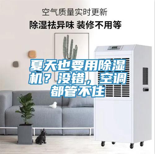 夏天也要用除濕機？沒錯，空調(diào)都管不住