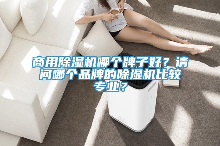 商用除濕機(jī)哪個牌子好？請問哪個品牌的除濕機(jī)比較專業(yè)？
