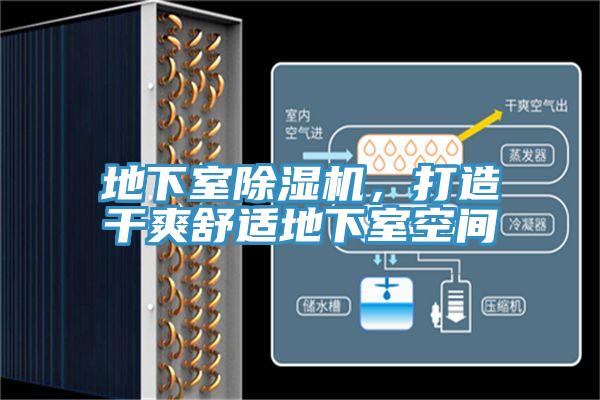 地下室除濕機，打造干爽舒適地下室空間