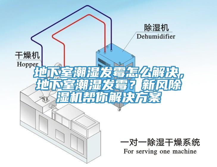 地下室潮濕發(fā)霉怎么解決，地下室潮濕發(fā)霉？新風(fēng)除濕機(jī)幫你解決方案