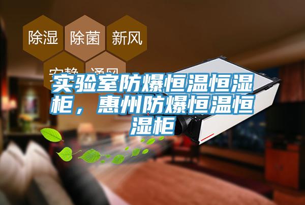 实验室防爆恒温恒湿柜，惠州防爆恒温恒湿柜