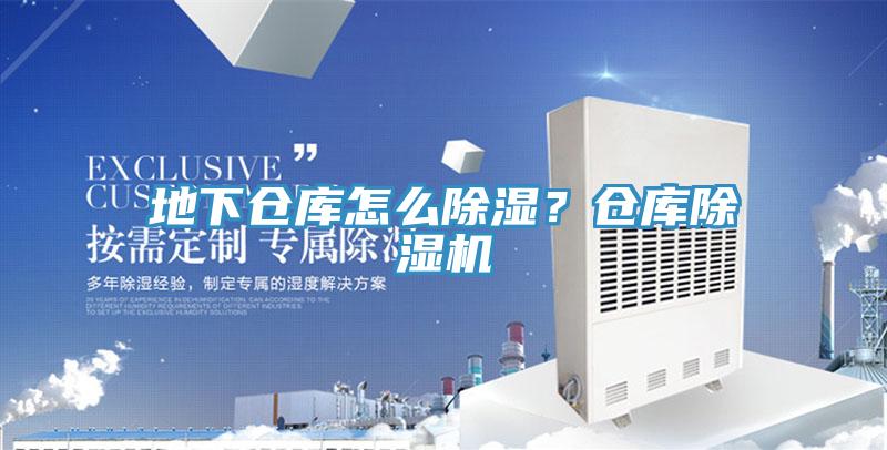 地下仓库怎么除湿？仓库除湿机