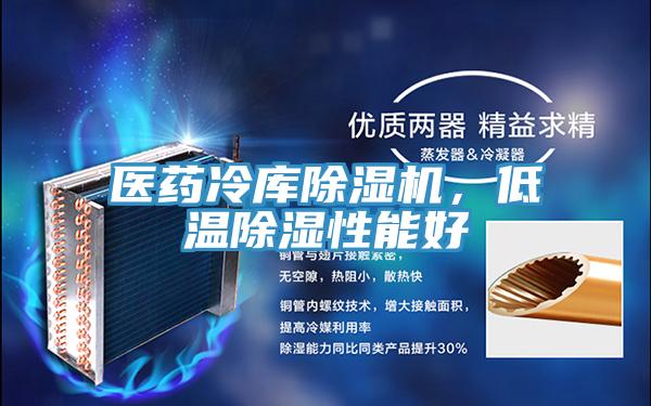 醫(yī)藥冷庫除濕機，低溫除濕性能好