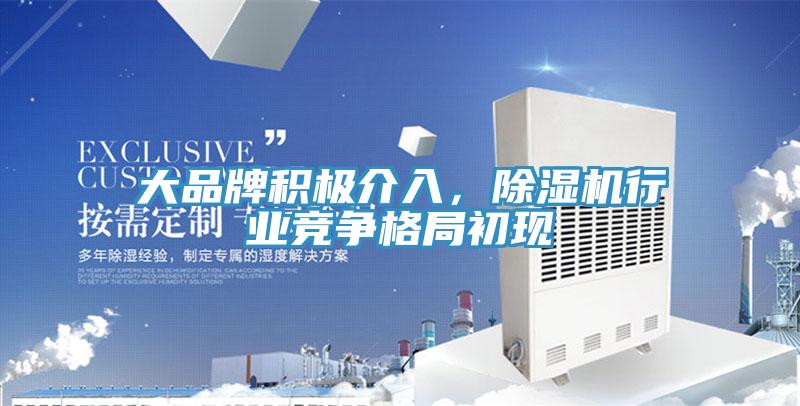 大品牌积极介入，除湿机行业竞争格局初现