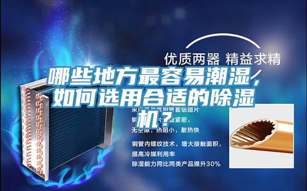 哪些地方最容易潮濕，如何選用合適的除濕機(jī)？