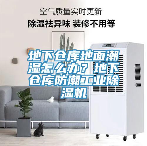 地下倉庫地面潮濕怎么辦？地下倉庫防潮工業(yè)除濕機(jī)