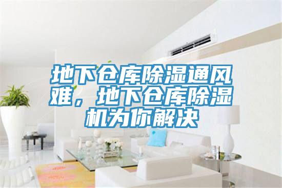 地下倉庫除濕通風(fēng)難，地下倉庫除濕機(jī)為你解決