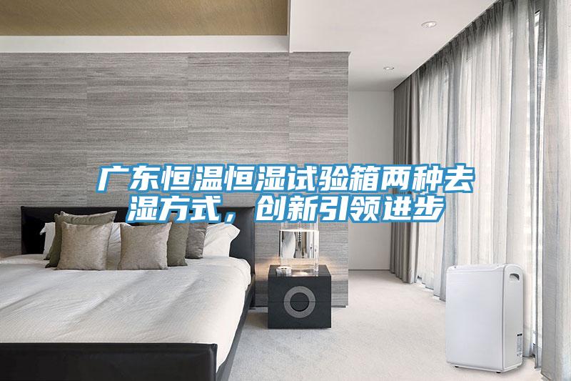 广东恒温恒湿试验箱两种去湿方式，创新引领进步