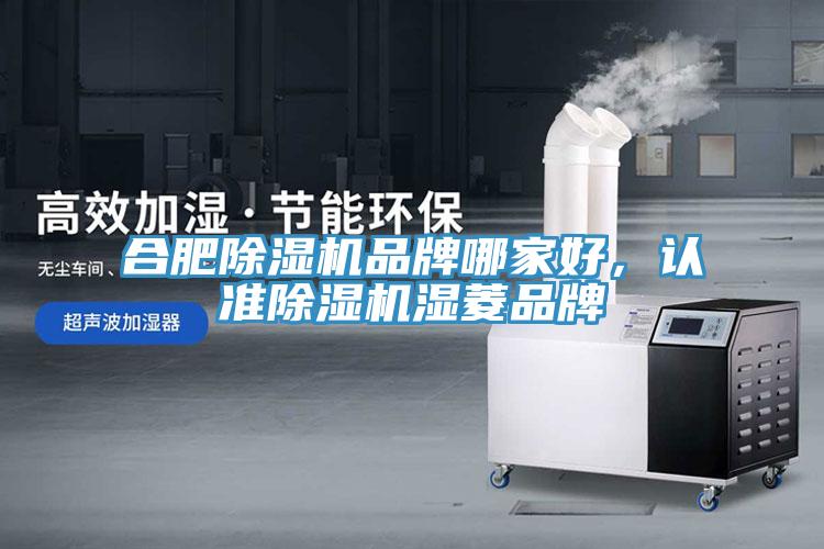 合肥除濕機(jī)品牌哪家好，認(rèn)準(zhǔn)除濕機(jī)濕菱品牌