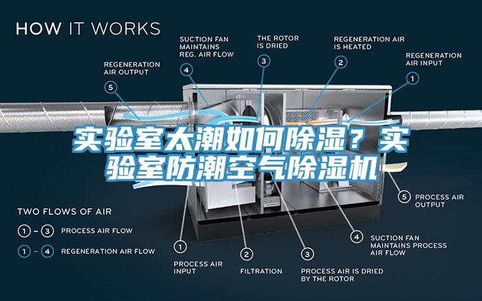 實驗室太潮如何除濕？實驗室防潮空氣除濕機