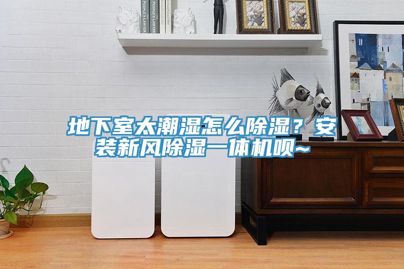 地下室太潮濕怎么除濕？安裝新風(fēng)除濕一體機(jī)唄~