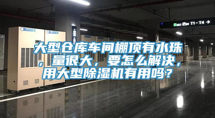 大型仓库车间棚顶有水珠，量很大，要怎么解决，用大型除湿机有用吗？