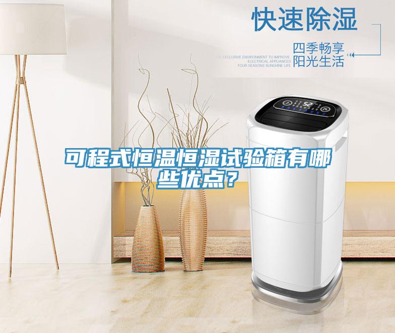 可程式恒溫恒濕試驗箱有哪些優(yōu)點？