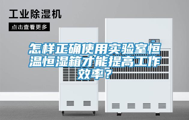 怎样正确使用实验室恒温恒湿箱才能提高工作效率？