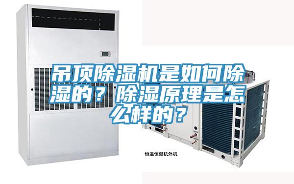 吊頂除濕機(jī)是如何除濕的？除濕原理是怎么樣的？