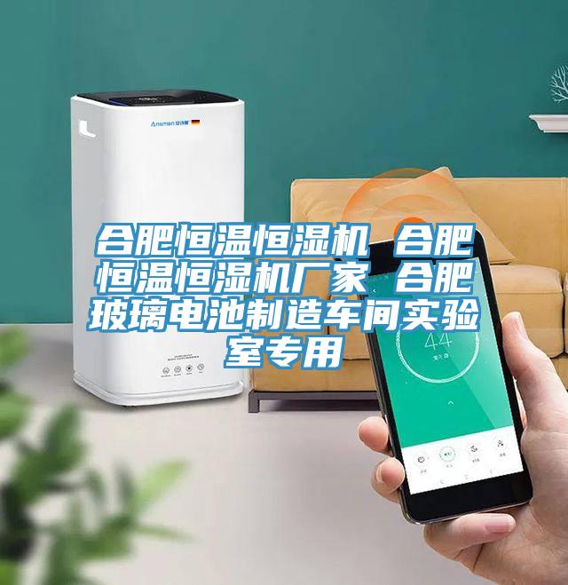 合肥恒溫恒濕機(jī) 合肥恒溫恒濕機(jī)廠家 合肥玻璃電池制造車間實驗室專用