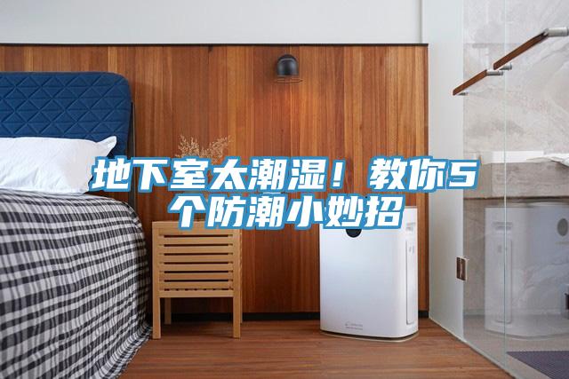地下室太潮湿！教你5个防潮小妙招