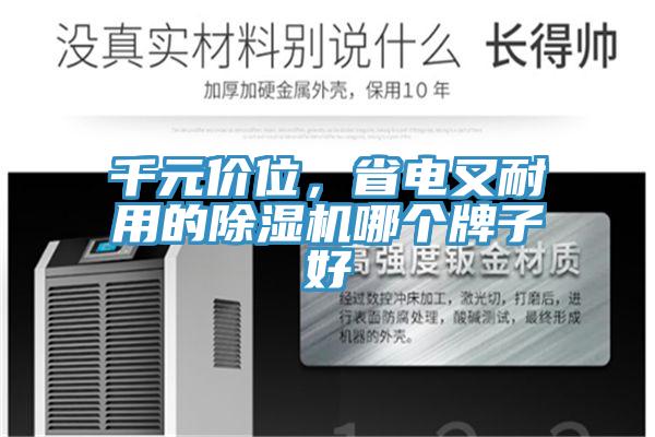 千元價(jià)位，省電又耐用的除濕機(jī)哪個(gè)牌子好