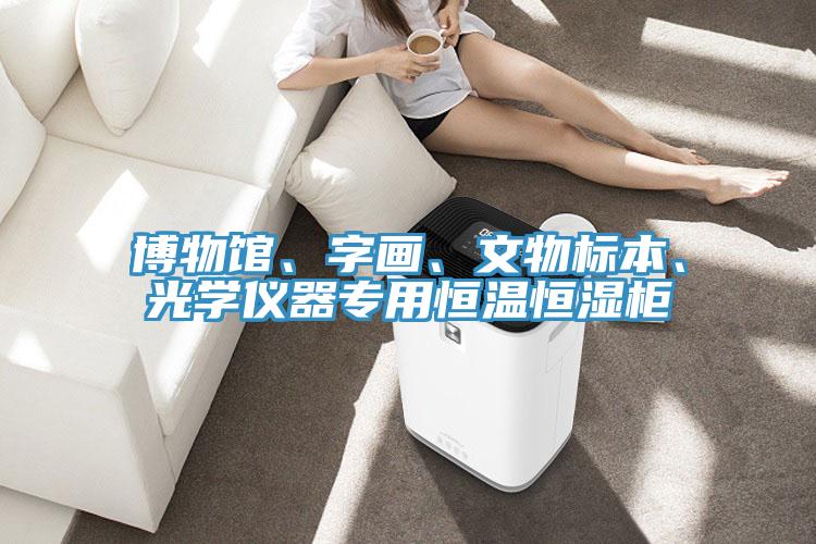 博物館、字畫、文物標(biāo)本、光學(xué)儀器專用恒溫恒濕柜