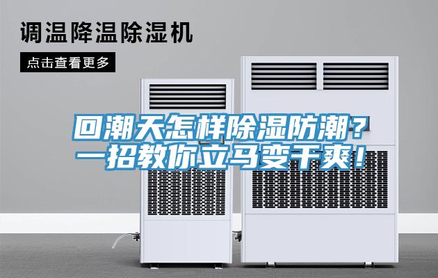 回潮天怎樣除濕防潮？一招教你立馬變干爽！