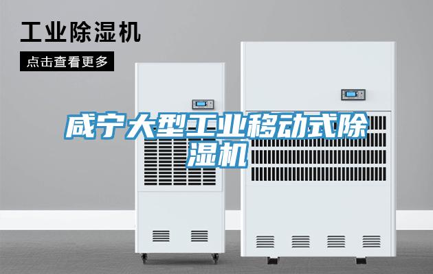 咸寧大型工業(yè)移動式除濕機(jī)