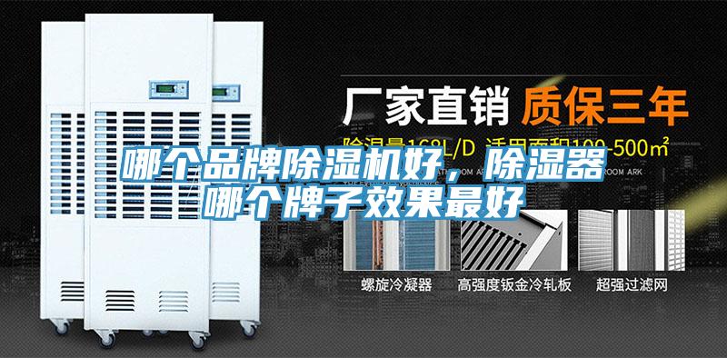 哪个品牌除湿机好，除湿器哪个牌子效果最好