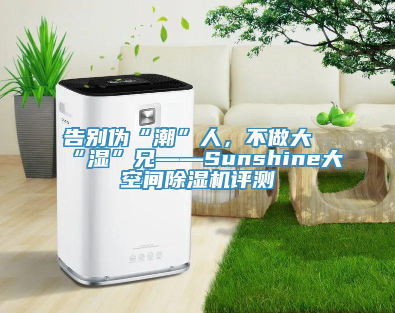 告別偽“潮”人，不做大“濕”兄——Sunshine大空間除濕機(jī)評測