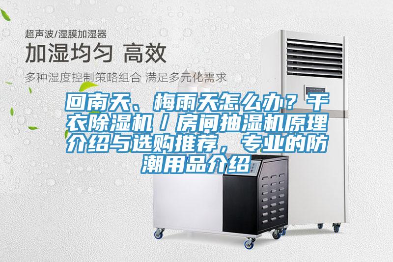 回南天、梅雨天怎么辦？干衣除濕機(jī)／房間抽濕機(jī)原理介紹與選購?fù)扑]，專業(yè)的防潮用品介紹