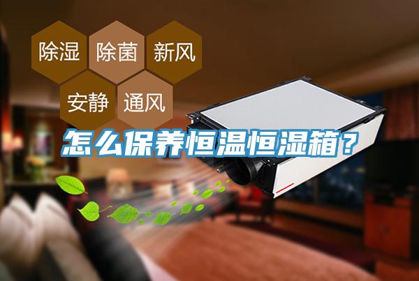 怎么保养恒温恒湿箱？